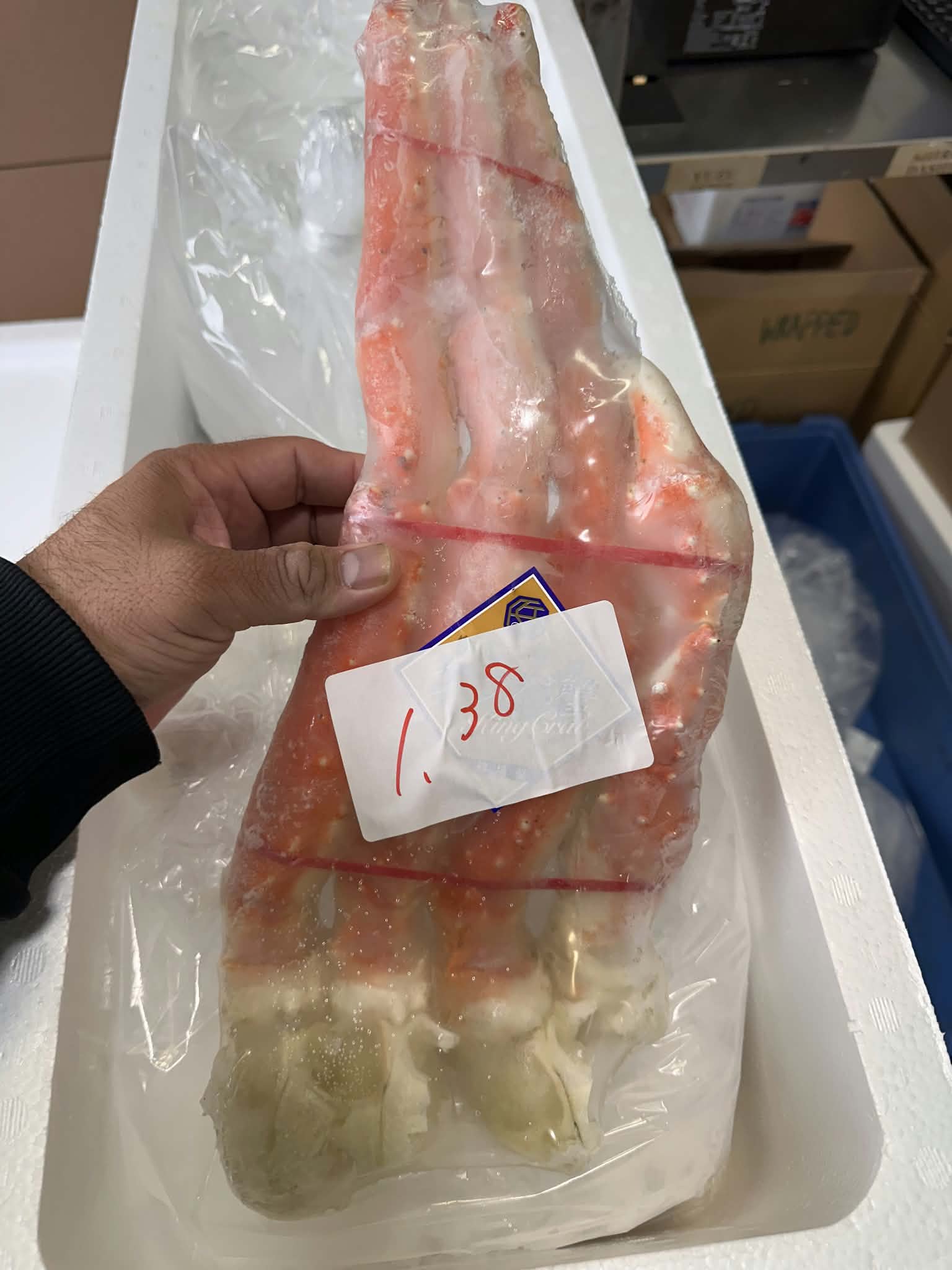 Frozen Alaskan king crab cluster held over a cold storage box